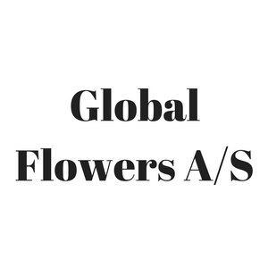 Reference fra virksomheden Global Flowers A/S om deres oplevelser med Lisbeth Foldager fra Fysiomentor